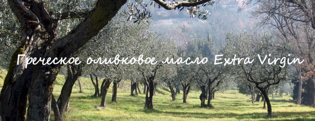Интересная информация об оливковом масле Terra Creta